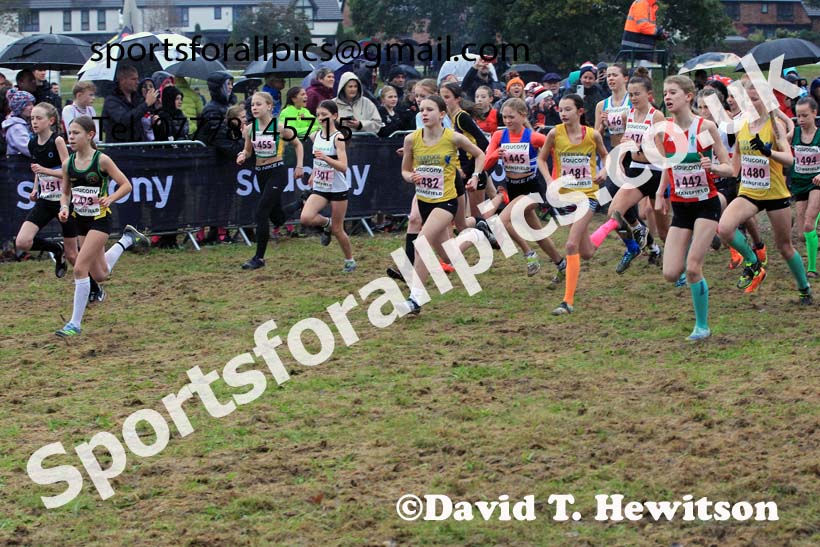Girls Under-13s 2023 National Cross Country Relays, Berry Hill Park, Mansfield.  Photo: David T. Hewitson/Sports for All Pics